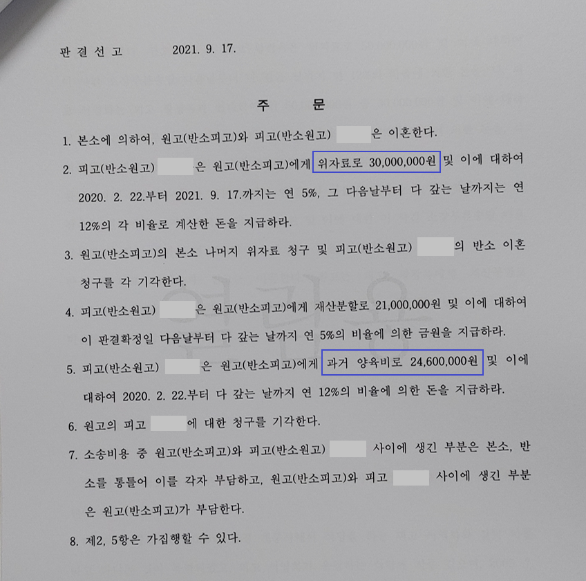 양육비 - 과거 이혼 양육비 2,460만원